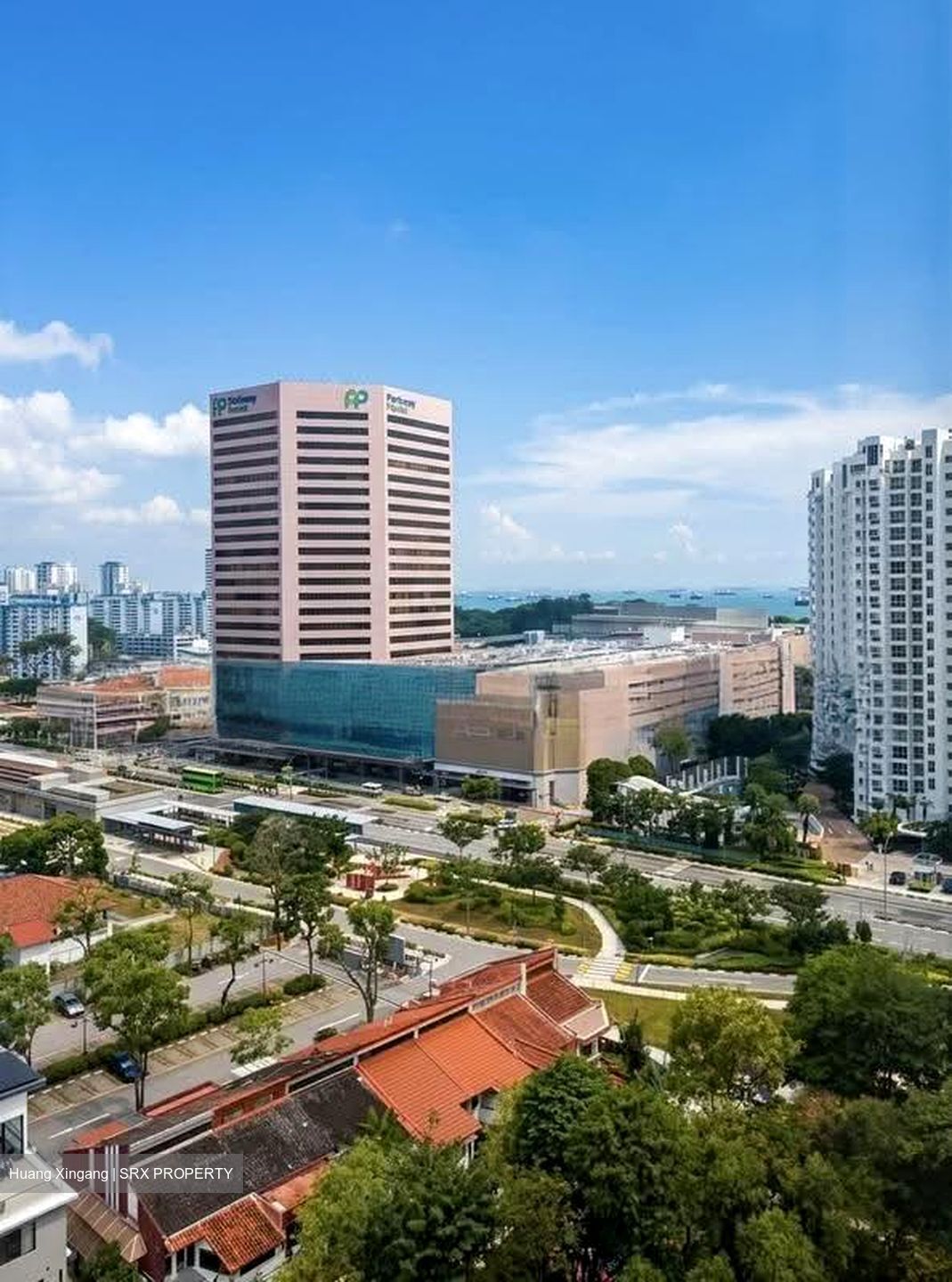 The Sea View (D15), Condominium #619544701